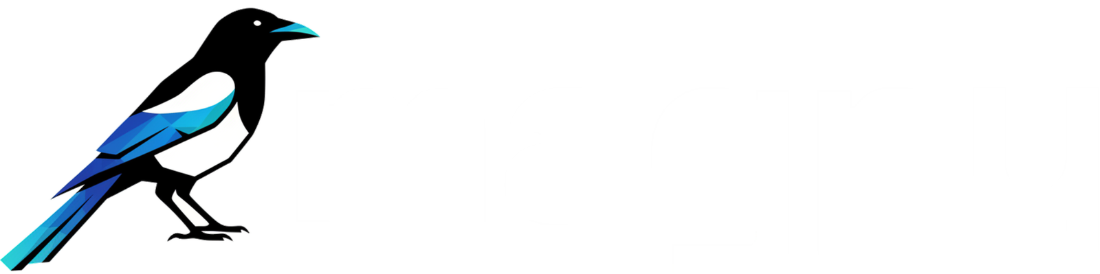 Magpy